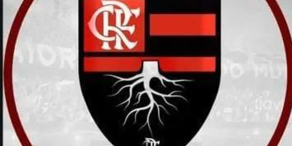 Imagem do grupo de WhatsApp 🅶🆁🆄🅿🅾 🅵🅻🅰 🆁🅰🅸🆉