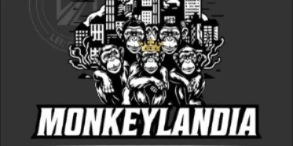 Imagem do grupo de WhatsApp 🦍𝑴𝑶𝑵𝑲𝑬𝒀𝑳𝑨𝑵𝑫𝑰𝑨🐒