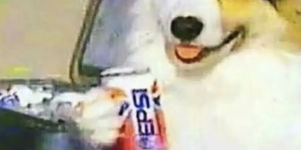 Imagem do grupo de WhatsApp 𝕻𝖊𝖎𝖝𝖊 𝖉𝖊𝖓𝖙𝖗𝖔 𝖉'𝖆́𝖌𝖚𝖆