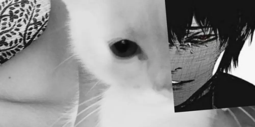 Imagem do grupo de WhatsApp ✩°｡⋆⸜ 🎧✮𝘋𝘢𝘳𝘬𝘯𝘦𝘴𝘴 𝕮𝐡𝐚𝐭 🇩🇪