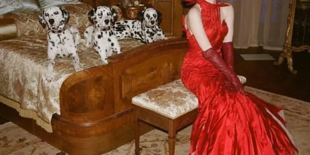 Imagem do grupo de WhatsApp 𝚃𝚑𝚎 𝚍𝚊𝚕𝚖𝚊𝚝𝚊'𝚜 𐂂꧂