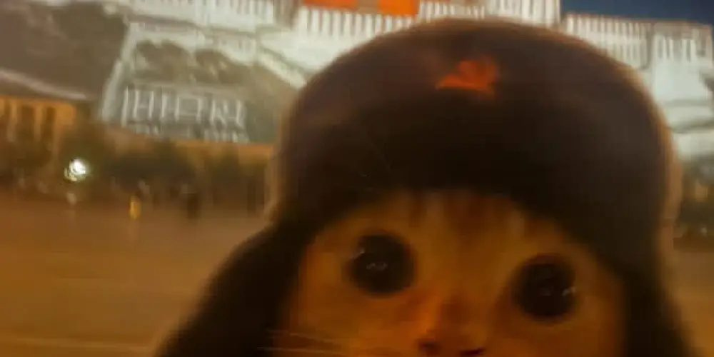 Imagem do grupo de WhatsApp 𝐆𝐑𝐔𝐏𝐎 𝐃𝐀 𝐑𝐄𝐒𝐄𝐍𝐇𝐀 🤡