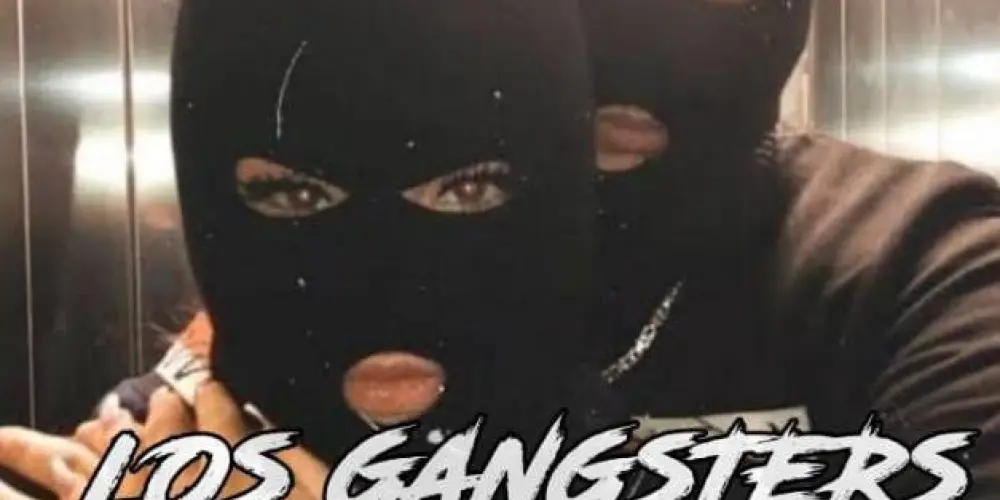 Imagem do grupo de WhatsApp 𝑳𝑶𝑺 𝑮𝑨𝑵𝑮𝑺𝑻𝑬𝑹𝑺🔥