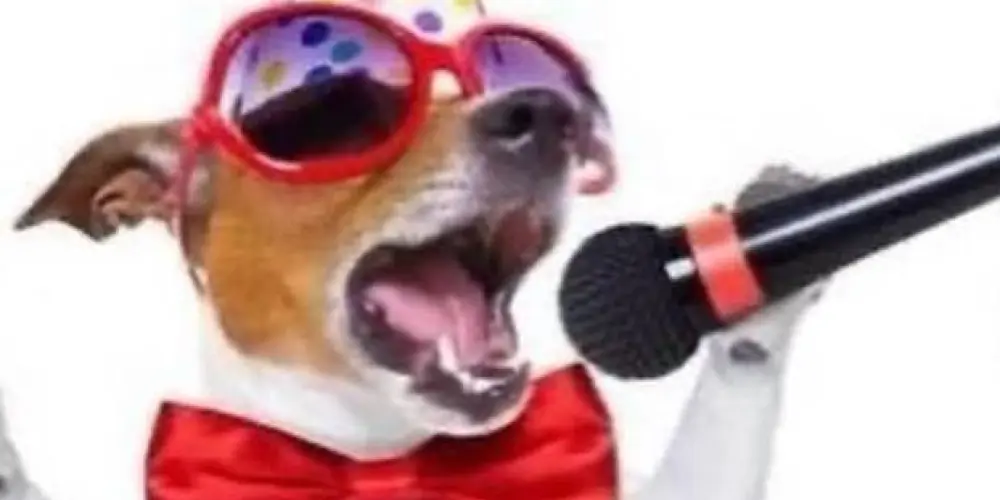 Imagem do grupo de WhatsApp 𝐀𝐦𝐢𝐳𝐚𝐝𝐞𝐬 💥💥