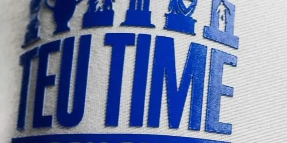 Imagem do grupo de WhatsApp 𝐿𝐼𝑆𝑇𝑅𝐴𝐷𝑂 𝐴𝑍𝑈𝐿 𝐸 𝐵𝑅𝐴𝑁𝐶𝑂 🤍🐺💙