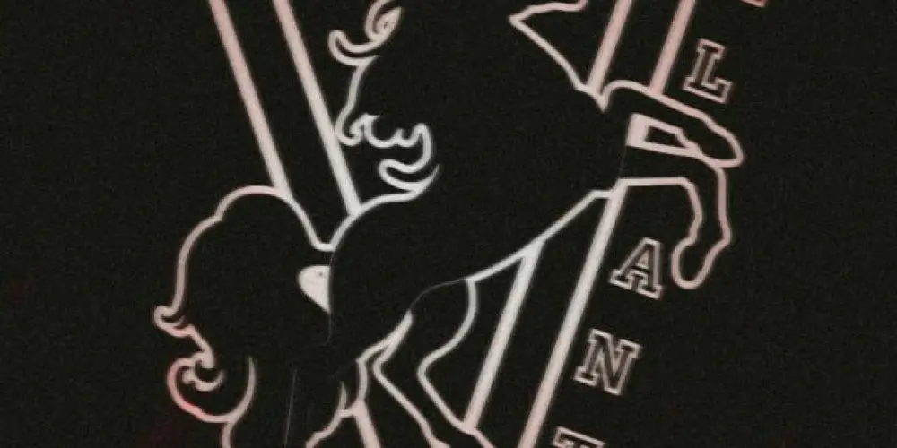 Imagem do grupo de WhatsApp 🥊 ﹕┈─ 𝗩ᴀʟɪᴀɴ𝗧  !