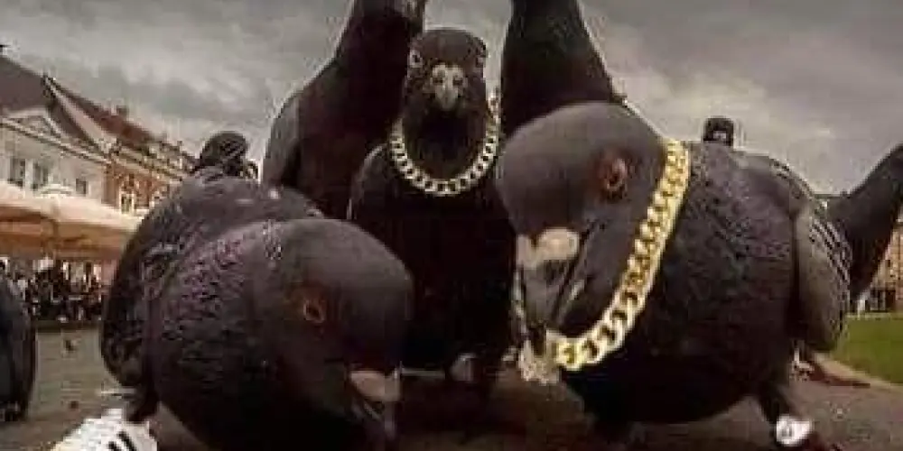 Imagem do grupo de WhatsApp ꧁✰𓆩𝙍𝑬𝒮𝑬𝓝𝑯𝑨𓆪✰꧂