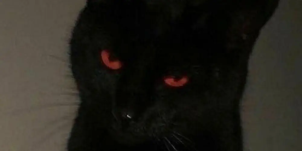 Imagem do grupo de WhatsApp 𝚂𝚢𝚜𝚝𝚎𝚖 𝚘𝚏𝚏.