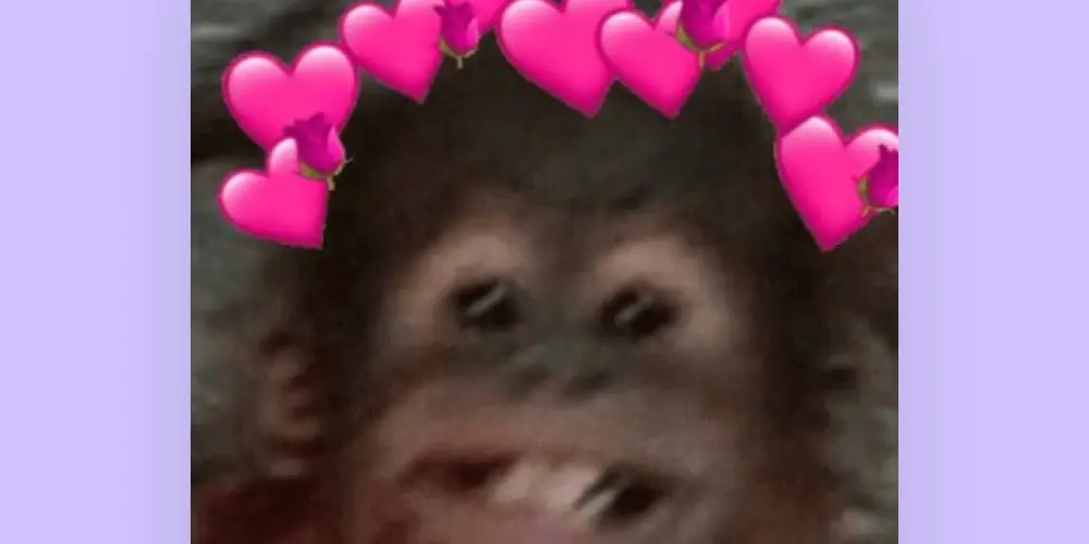 Imagem do grupo de WhatsApp 𝐂𝐀𝐏𝐒 𝐝𝐨 𝐁𝐢𝐞𝐥