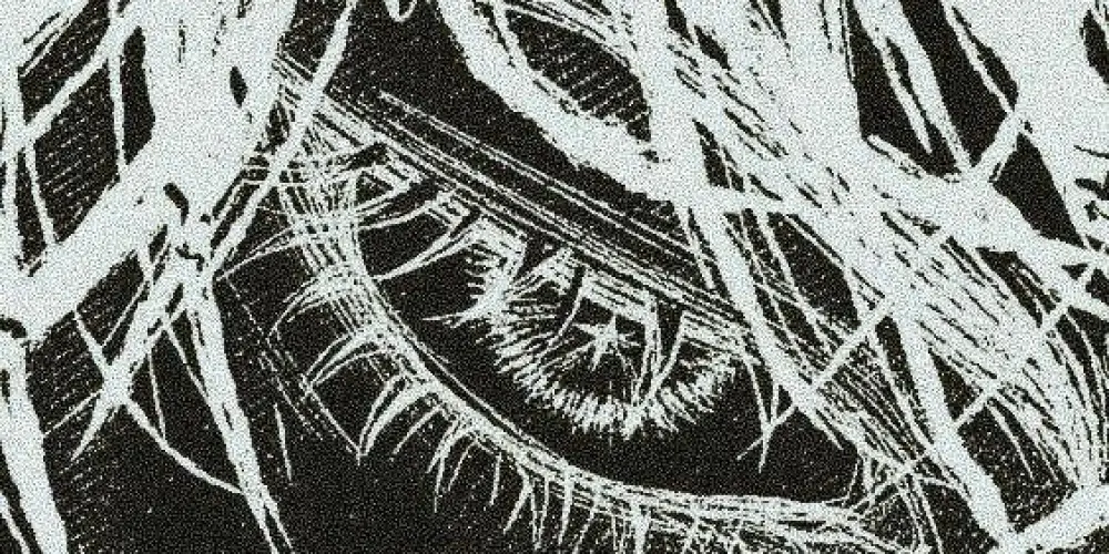 Imagem do grupo de WhatsApp 𝐌 𝐀 𝐈 𝐍 𝐒 𝐓 𝐑 𝐄 𝐄 𝐓   𝐑 𝐔 𝐒 𝐒 𝐎