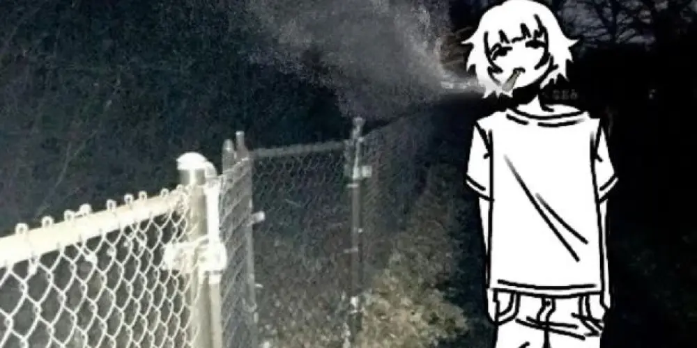 Imagem do grupo de WhatsApp 𝑊ℎ𝑖𝑡𝑒𝑛𝑜𝑖𝑠𝑒𝑘𝑖𝑑𝑠