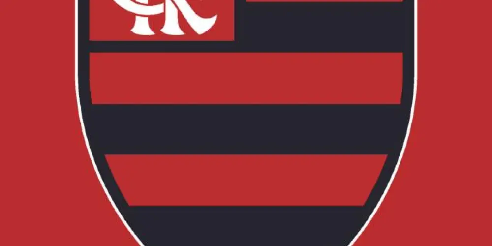 Imagem do grupo de WhatsApp Ｆｌａｍｅｎｇｏ ＦＦ ㋚