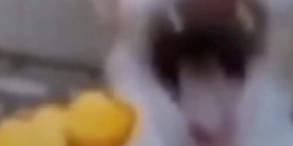 Imagem do grupo de WhatsApp ☆𝑮𝒓𝒖𝒑𝒐 𝒅𝒂 𝒓𝒆𝒔𝒆𝒏𝒉𝒂☆