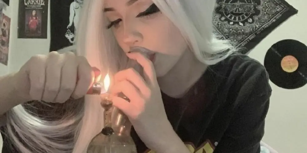 Imagem do grupo de WhatsApp 🏰 𝗧𝗛𝗘 𝗣𝗔𝗟𝗔𝗖𝗘  🏰