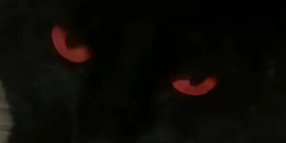 Imagem do grupo de WhatsApp 𝙁𝙇𝙊𝙒★𝙄𝙉𝙎𝙎𝘼𝙉𝙀