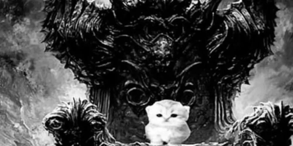 Imagem do grupo de WhatsApp 𝚂𝙿𝚁𝙸𝙽𝙶𝙴𝙳 ⭒