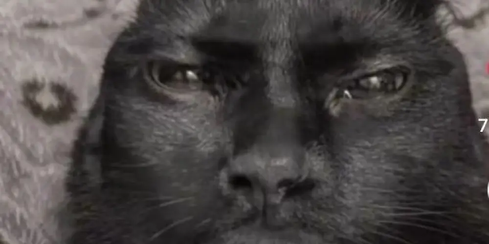 Imagem do grupo de WhatsApp 𝕱𝖑𝖔𝖕 𝖆𝖒𝖎𝖟𝖆𝖉𝖊 🫦👑