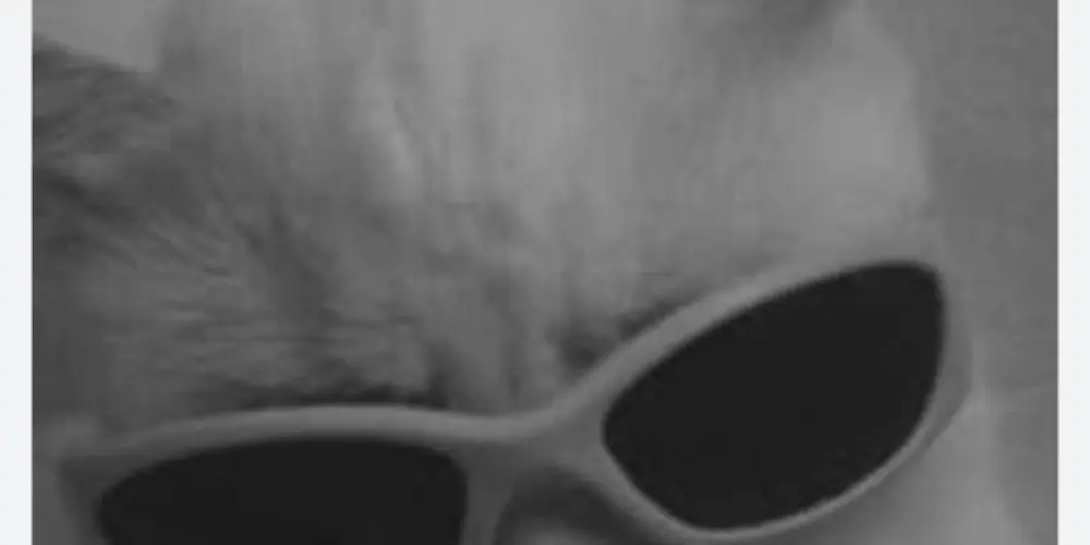 Imagem do grupo de WhatsApp 𝔸𝕓𝕦𝕤𝕒𝕕𝕒𝕤 𝕖 ℙ𝕖𝕣𝕥𝕦𝕓𝕒𝕕𝕠𝕤. 💯🎭💫