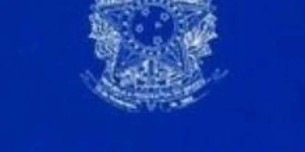 Imagem do grupo de WhatsApp 😆🖕🏻