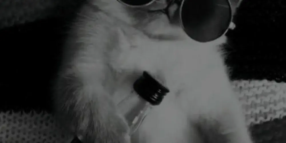 Imagem do grupo de WhatsApp 𝐂𝐚𝐧𝐭𝐢𝐧𝐡𝐨 𝐎𝐭𝐚𝐤𝐮