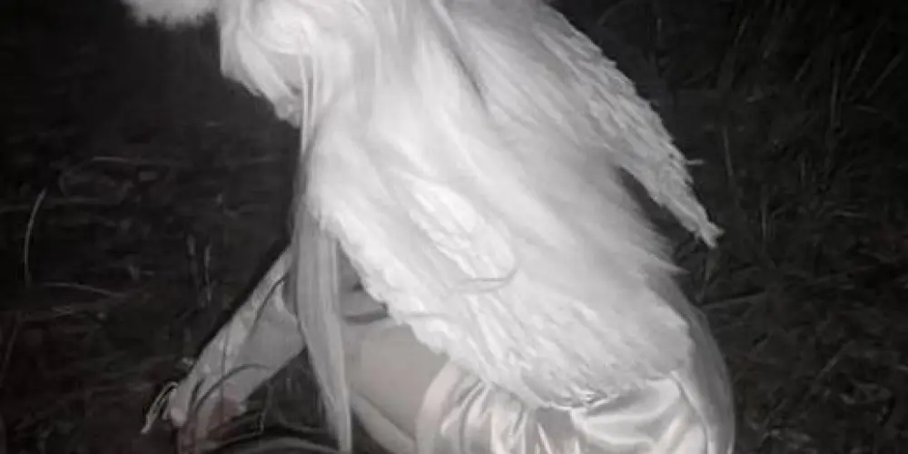 Imagem do grupo de WhatsApp 🏴𝕯𝖆𝖗𝖐 𝖆𝖓𝖌𝖊𝖑𝖘🏴