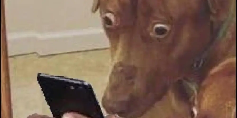 Imagem do grupo de WhatsApp ☆࿐ཽ༵༆༒ꄲꋊ꒒꒐ꋊꏂ ꇙꄲꉔ꒐ꋬ꒒꒐ꁴ​꒐ꋊꍌ༒༆࿐ཽ༵☆