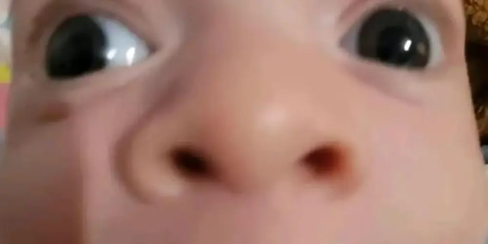 Imagem do grupo de WhatsApp 🔥𝗖𝗵𝗮𝘁 𝗢𝗳𝗶𝗰𝗶𝗮𝗹 𝗗𝗲 𝗔𝗻𝗱𝗿𝗼𝗺𝗲𝗱𝗮🔥