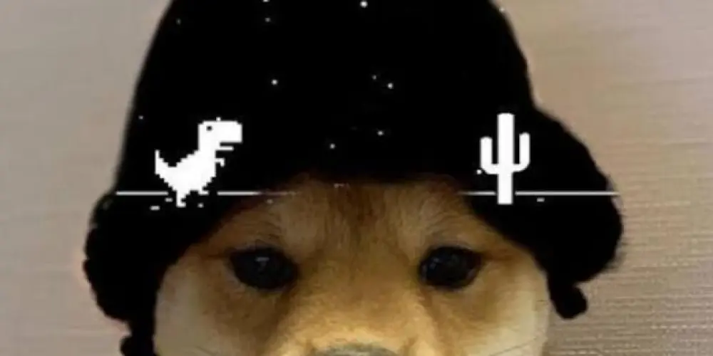 Imagem do grupo de WhatsApp 𝙴𝙽𝚃𝚁𝙴 𝚁𝙸𝚂𝙾𝚂 𝙴 𝚃𝙰𝙿𝙰𝚂💣