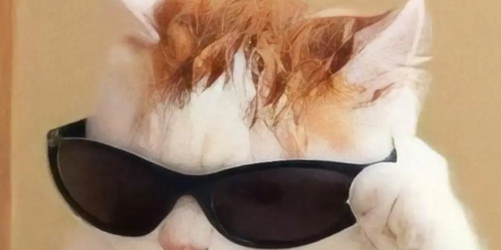 Imagem do grupo de WhatsApp ㊎┊Ｂｒｏｔｈｅｒ'ｓﾠ♨