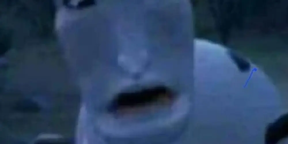 Imagem do grupo de WhatsApp ꧁•⊹٭𝙾𝚜 𝚍𝚘𝚒𝚍𝚘𝚜٭⊹•꧂