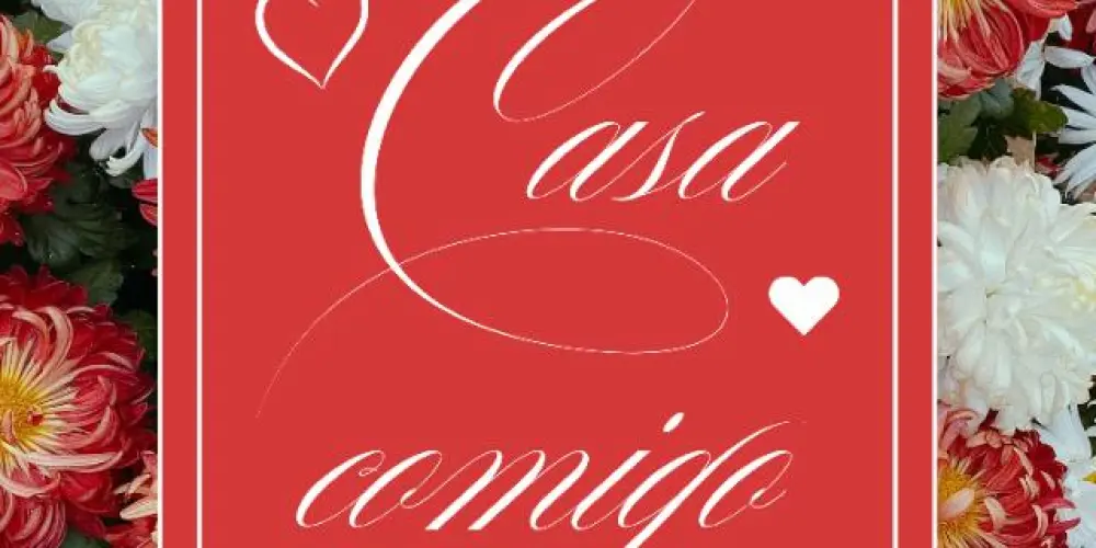 Imagem do grupo de WhatsApp 🌹 𝓒𝓪𝓼𝓪 𝓒𝓸𝓶𝓲𝓰𝓸