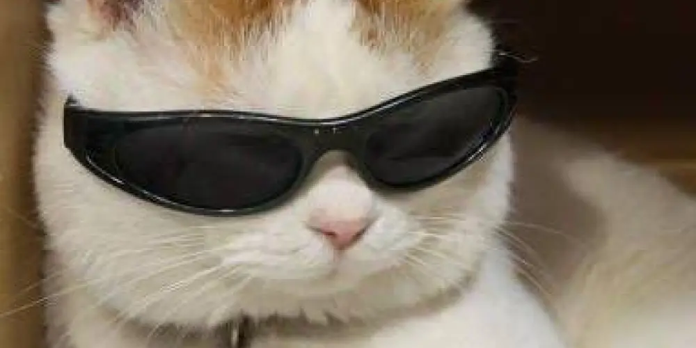 Imagem do grupo de WhatsApp 𝐙𝐎𝐄𝐈𝐑𝐀 𝟐𝟒 𝐇𝐑𝐒🤯