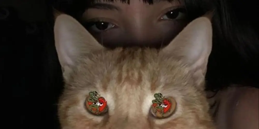 Imagem do grupo de WhatsApp ꇙꋬ꓄꒤ꋪꋊꄲ 🪐