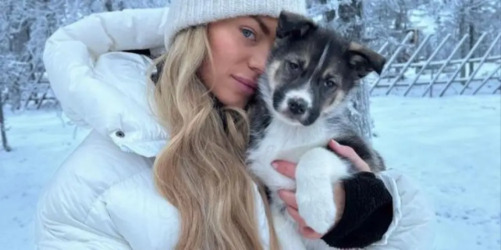 Imagem do grupo de WhatsApp 𝑺𝑽 𝑨𝒍𝒆𝒎𝒂𝒏𝒉𝒂❄️🇩🇪