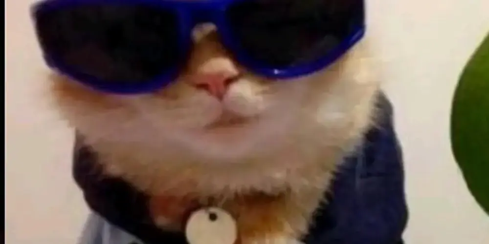 Imagem do grupo de WhatsApp 𝐅𝐑𝐈𝐄𝐍𝐃𝐒