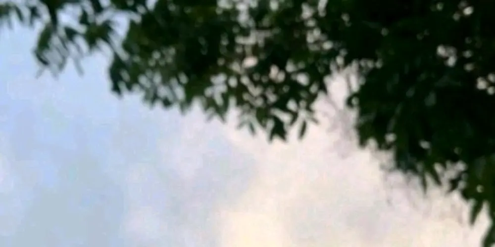 Imagem do grupo de WhatsApp 𝑭𝑬𝑯𝑳𝑬𝑹