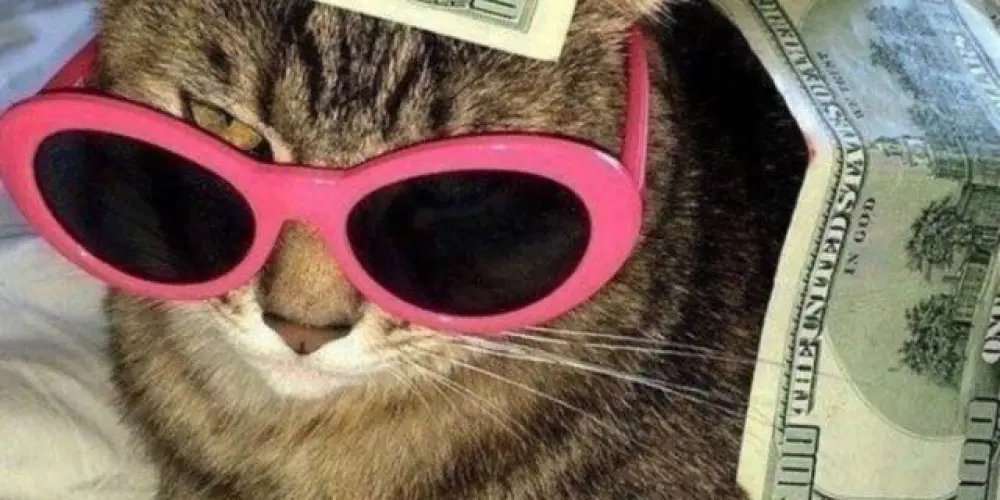 Imagem do grupo de WhatsApp 𝐼'𝑚 𝑗𝑢𝑠𝑡 𝑎 𝑔𝑖𝑟𝑙