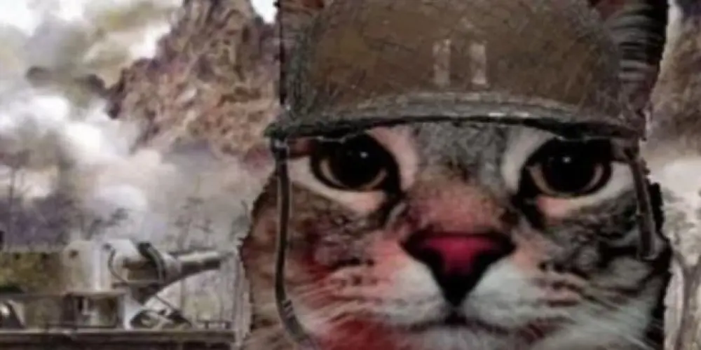 Imagem do grupo de WhatsApp 𝔗𝔞𝔨𝔢 ℭ𝔥𝔞𝔬𝔰