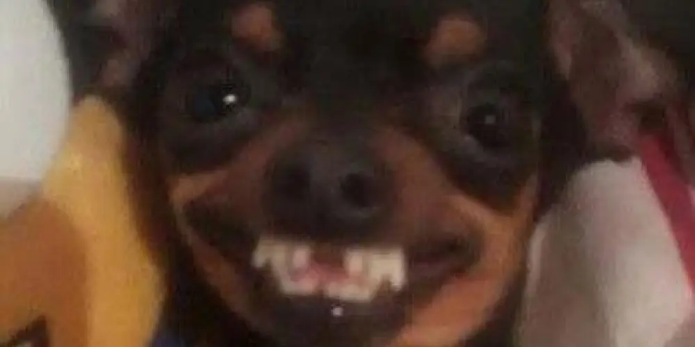 Imagem do grupo de WhatsApp 𝕲⃟𝖌⃟𝖉⃟𝙍𝙚𝙨𝙚𝙣𝙝𐌔ᵈᵒˢ シ𝐴⃪𝑚⃪𝑖⃪𝑔⃪𝑜⃪𝑠⃪㋛