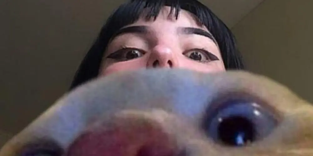 Imagem do grupo de WhatsApp 𓆰 𝐓𝐇𝐄 𝐙𝐎𝐄𝐈𝐑𝐀 𝐎𝐅𝐂 ༗͢𓆪 🎡