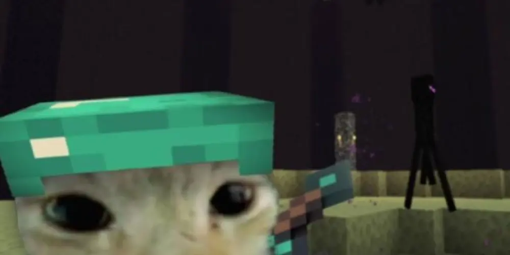 Imagem do grupo de WhatsApp 🇧🇷𝙍𝙊𝙐𝘽𝙀 𝙐𝙈 𝘽𝙍𝘼𝙄𝙉𝙍𝙊𝙏🇧🇷