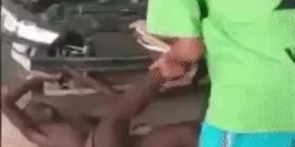 Imagem do grupo de WhatsApp Ｚｏｎａ  Ｌｉｖｒｅ