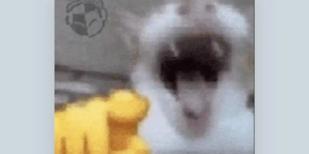 Imagem do grupo de WhatsApp 𝔸𝕞𝕚𝕫𝕒𝕕𝕖 𝕖 𝔽𝕠𝕗𝕠𝕔𝕒