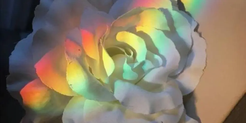 Imagem do grupo de WhatsApp ✨𝓔𝓼𝓽𝓻𝓮𝓵𝓪𝓼 𝓭𝓸 𝓐𝓶𝓪𝓷𝓱𝓪̃✨