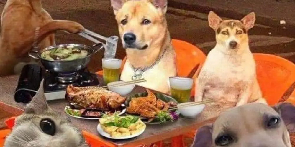 Imagem do grupo de WhatsApp 『♛♪🍻𝑩𝒐𝒕𝒆𝒄𝒐 𝒅𝒐𝒔 𝒄𝒓𝒊𝒂𝒔🍻♪♛』