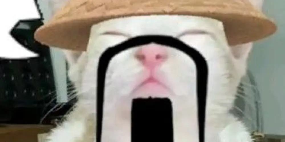 Imagem do grupo de WhatsApp ☢︎𝕭𝖑𝖔𝖝 𝖆𝖒𝖎𝖟𝖆𝖉𝖊☢︎