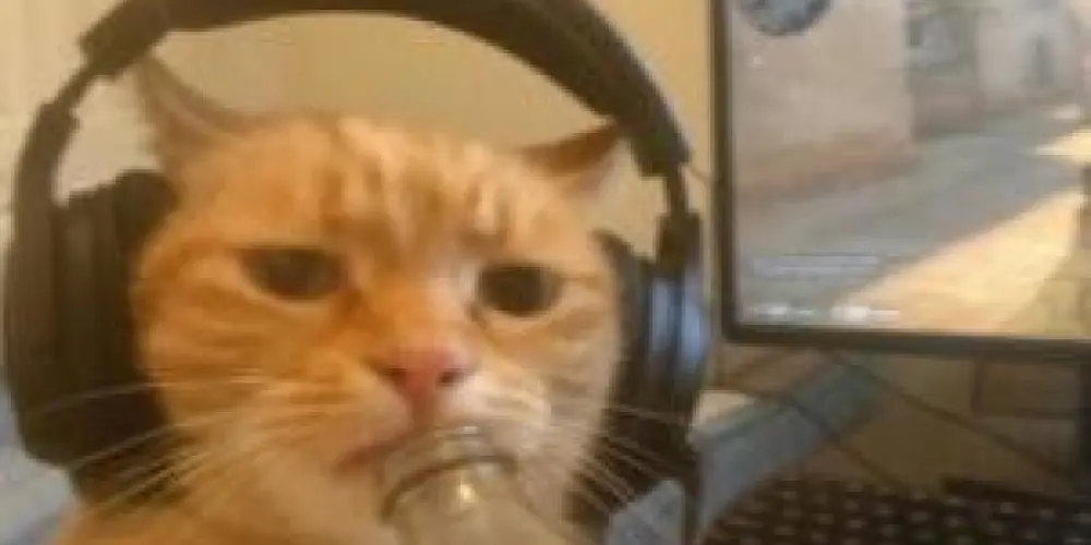 Imagem do grupo de WhatsApp ʜᴀʀᴇ́ᴍ ᴅᴏ𝕤 𝕤ʜɪᴛ𝕤 🕹️