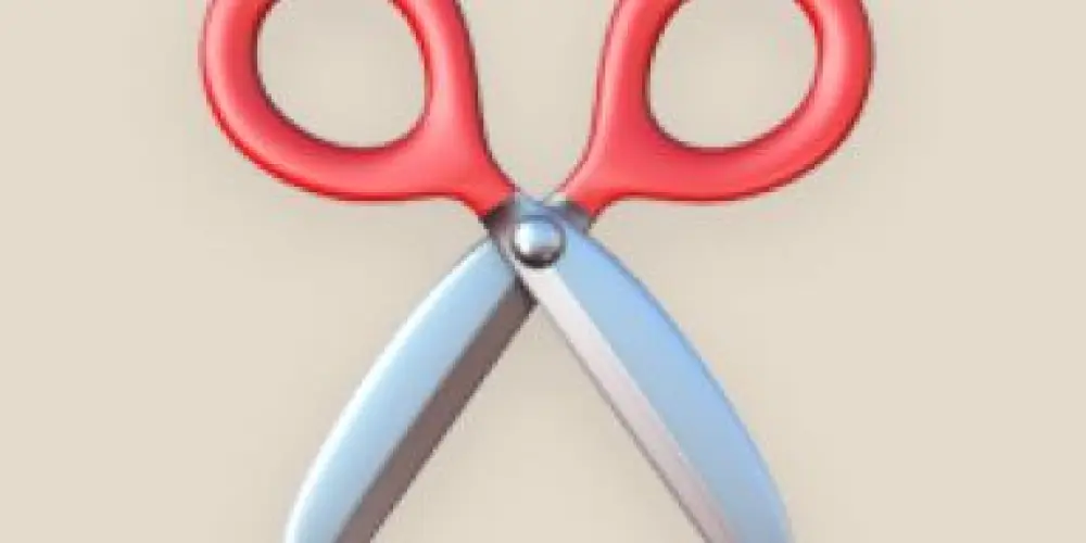 Imagem do grupo de WhatsApp 𝕾𝖆𝖕𝖆𝖙𝖆𝖘 𝖉𝖊 𝖕𝖑𝖆𝖓𝖙𝖆̃𝖔 “𝕭𝖎” ✂️