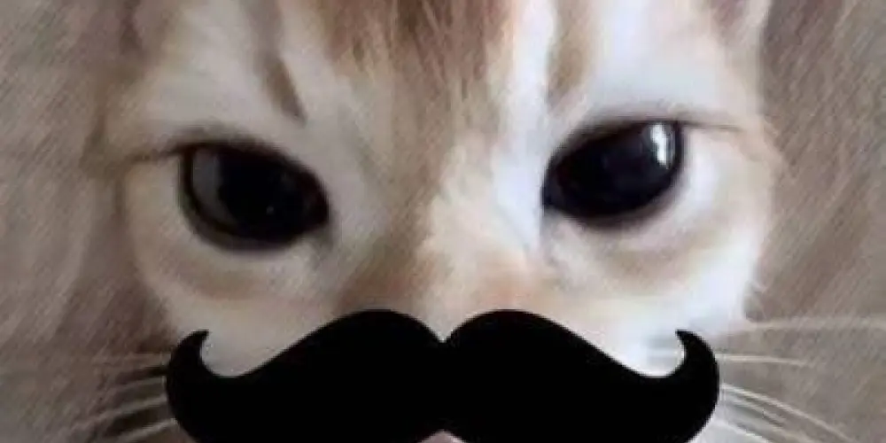 Imagem do grupo de WhatsApp 𝐉𝐨𝐠𝐨𝐬, 𝐌𝐞𝐦𝐞𝐬 𝐞 𝐀𝐧𝐢𝐦𝐞𝐬