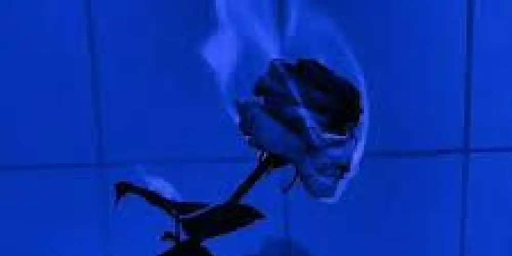 Imagem do grupo de WhatsApp 𐄹  🌬️᮫໋︭   𖤘  ⁝🄽⃝🄹⃝🅉⃝⁝  ꛆꪱ𝘴𝖼𝗅𑄝  ౧𐑼  ❄️ᩝꯨᩚᰰ